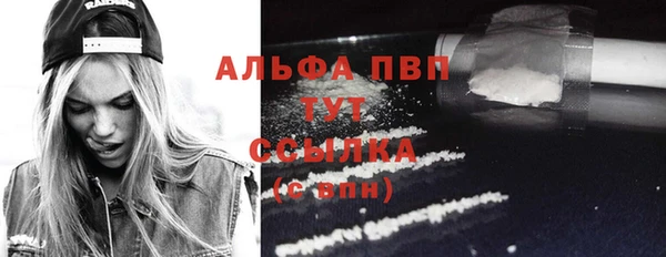 ECSTASY Волоколамск