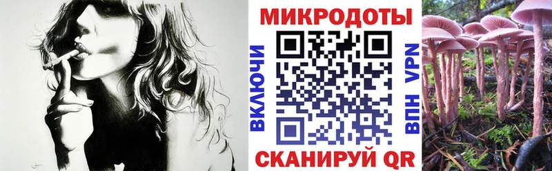 Псилоцибиновые грибы Cubensis Энгельс